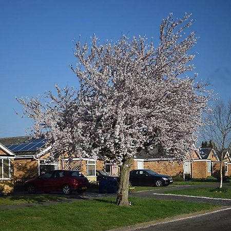 Wings Bed & Breakfast Oakham Exterior foto